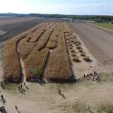 Relleke Pumpkin Patch photo