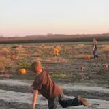 Relleke Pumpkin Patch photo