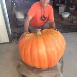 Relleke Pumpkin Patch photo