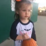 Relleke Pumpkin Patch photo