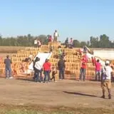 Relleke Pumpkin Patch photo