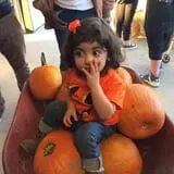 Relleke Pumpkin Patch photo