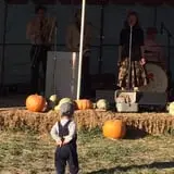 Relleke Pumpkin Patch photo