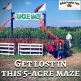 Relleke Pumpkin Patch photo