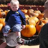 Relleke Pumpkin Patch photo