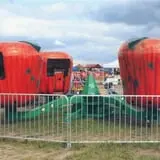 Relleke Pumpkin Patch photo