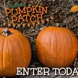 Relleke Pumpkin Patch photo