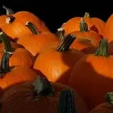 Relleke Pumpkin Patch photo