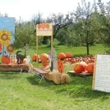 Obstbaum Orchards & Cider Mill photo