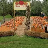 Obstbaum Orchards & Cider Mill photo
