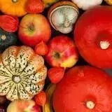 Obstbaum Orchards & Cider Mill photo