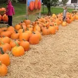 Obstbaum Orchards & Cider Mill photo