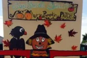 Sunshine Shelly's Pumpkin Patch