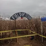 FFA Autumn Fest photo