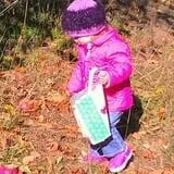 Apple Acres Farm photo