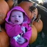 Apple Acres Farm photo