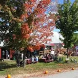 Apple Acres Farm photo