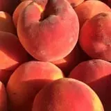 Apple Acres Farm photo