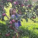 Apple Acres Farm photo