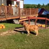 Apple Acres Farm photo