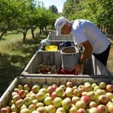 Apple Acres Farm photo