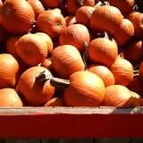 Crossroads Farm at Grossmann's photo