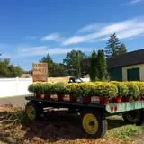 Crossroads Farm at Grossmann's photo