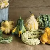 Crossroads Farm at Grossmann's photo