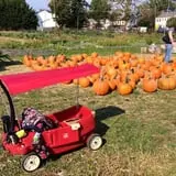Crossroads Farm at Grossmann's photo