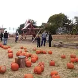 Crossroads Farm at Grossmann's photo