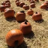 Crossroads Farm at Grossmann's photo