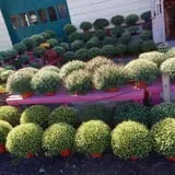 Crossroads Farm at Grossmann's photo
