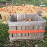 Crossroads Farm at Grossmann's photo