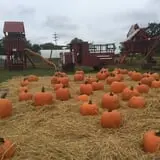 Crossroads Farm at Grossmann's photo