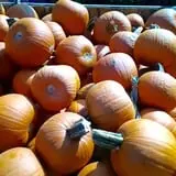 Crossroads Farm at Grossmann's photo