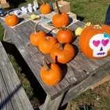 Crossroads Farm at Grossmann's photo