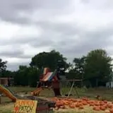Crossroads Farm at Grossmann's photo