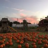 Crossroads Farm at Grossmann's photo