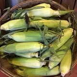 Crossroads Farm at Grossmann's photo