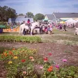 Crossroads Farm at Grossmann's photo