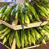 Crossroads Farm at Grossmann's photo