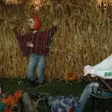 North Logan Pumpkin Walk photo