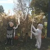 North Logan Pumpkin Walk photo