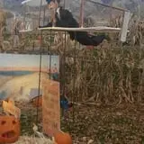 North Logan Pumpkin Walk photo