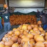 North Logan Pumpkin Walk photo
