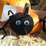 North Logan Pumpkin Walk photo