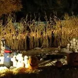 North Logan Pumpkin Walk photo