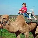 Animal Gardens & Petting Zoo photo
