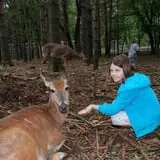 Animal Gardens & Petting Zoo photo