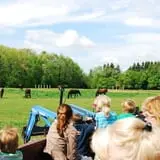 Animal Gardens & Petting Zoo photo